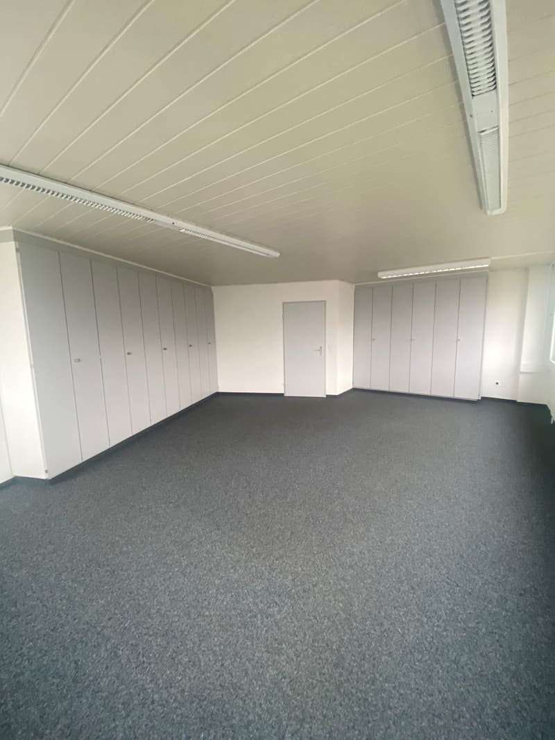 Empty room with white walls, grey flooring, white built-in cabinets, white door, ceiling lights
