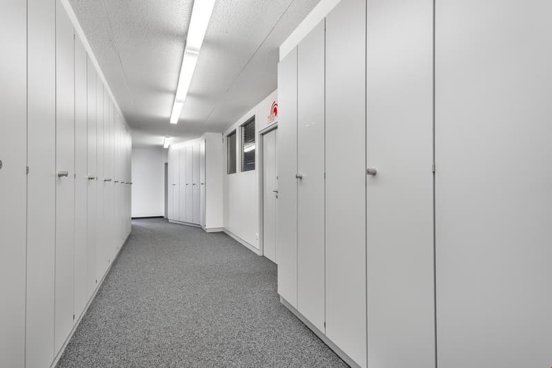 empty room, white cabinets, gray carpet, white walls, multiple windows, bright lighting
