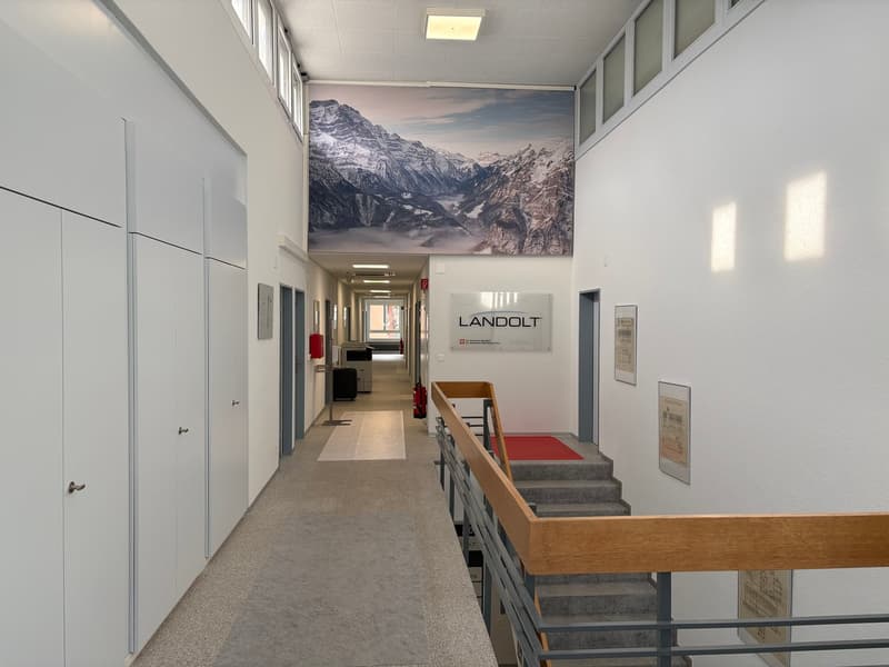 Empty corridor with white walls, gray floor, a large picture on the wall, a handrail on the left side, doors on the left, stairs on the right.
