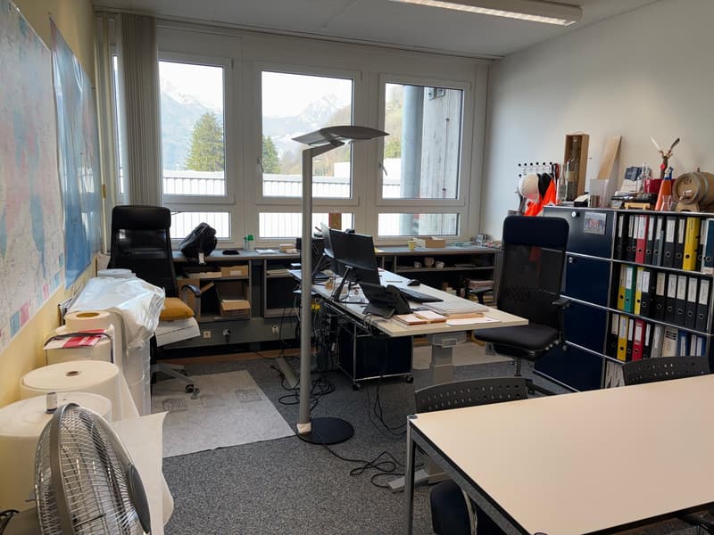 Office room, multiple desks, computer monitors, file cabinets, map on the wall, office chairs, standing lamp, large windows, view of the mountain.