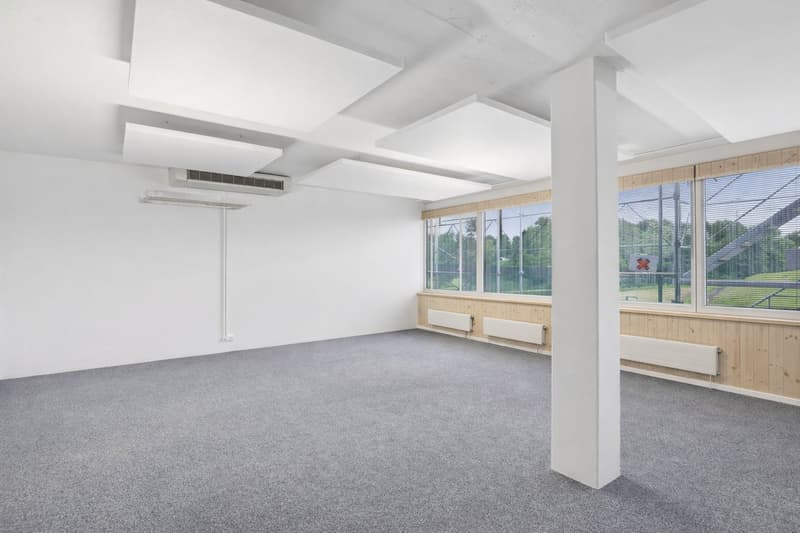 Moderne Büro- & Gewerbeflächen mit flexiblen Nutzungsmöglichkeiten - frisch saniert (4)