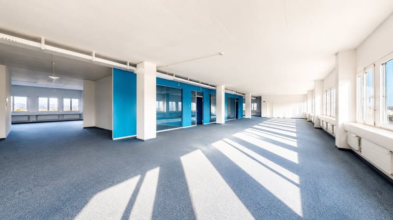 Gewerbe, Produktion, Büro, Lager, Ausstellung und Logistik auf einem Geschoss (4)