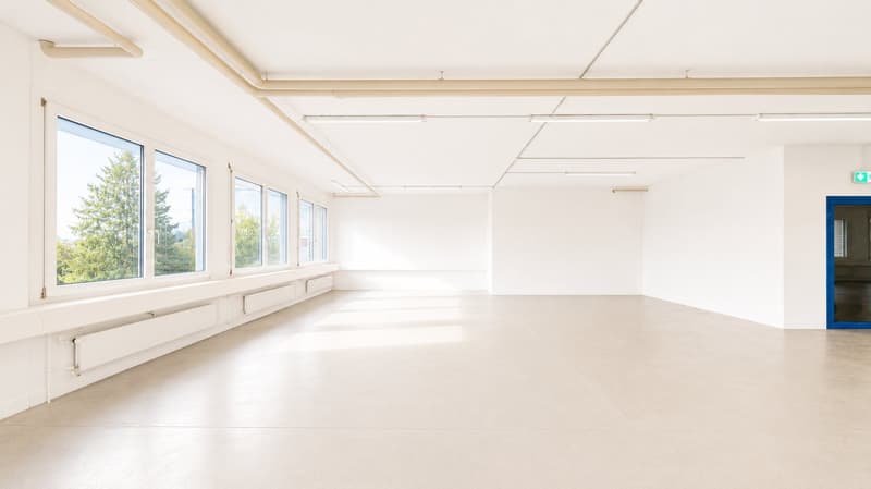 Gewerbe, Produktion, Büro, Lager, Ausstellung und Logistik auf einem Geschoss (15)