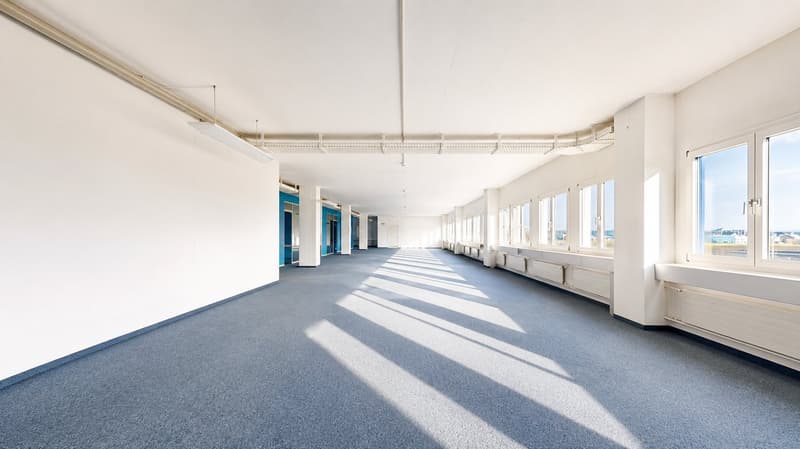 Gewerbe, Produktion, Büro, Lager, Ausstellung und Logistik auf einem Geschoss (5)