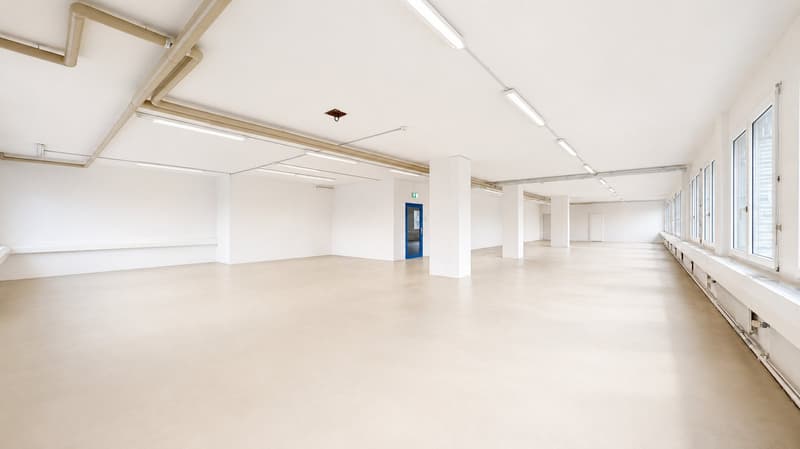Gewerbe, Produktion, Büro, Lager, Ausstellung und Logistik auf einem Geschoss (17)
