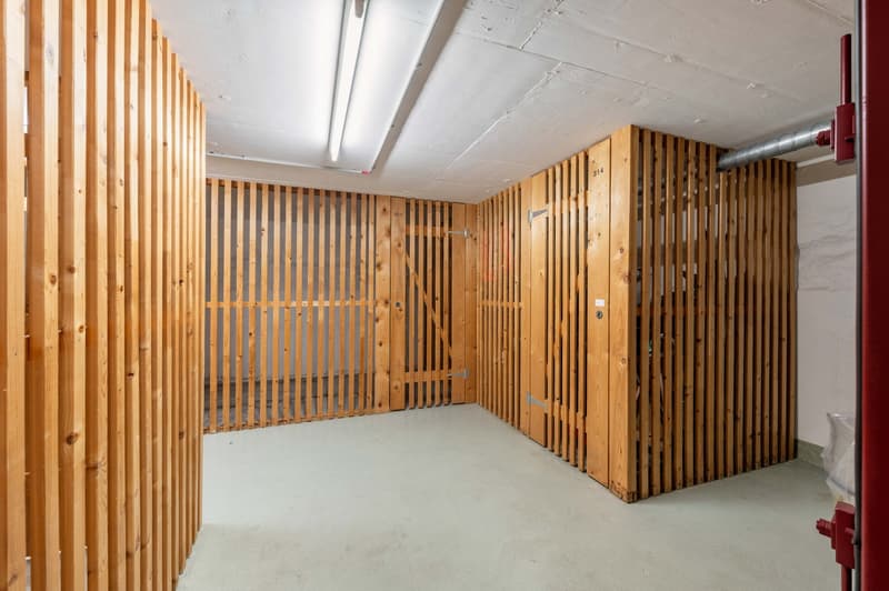 Charmante 1-Zimmer-Wohnung an der Steinenvorstadt in Basel (9)