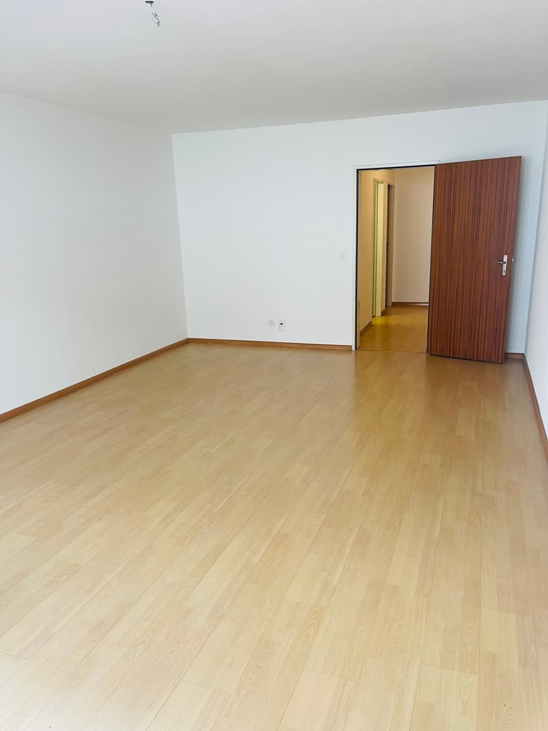 Charmante 1-Zimmer-Wohnung an der Steinenvorstadt in Basel (2)