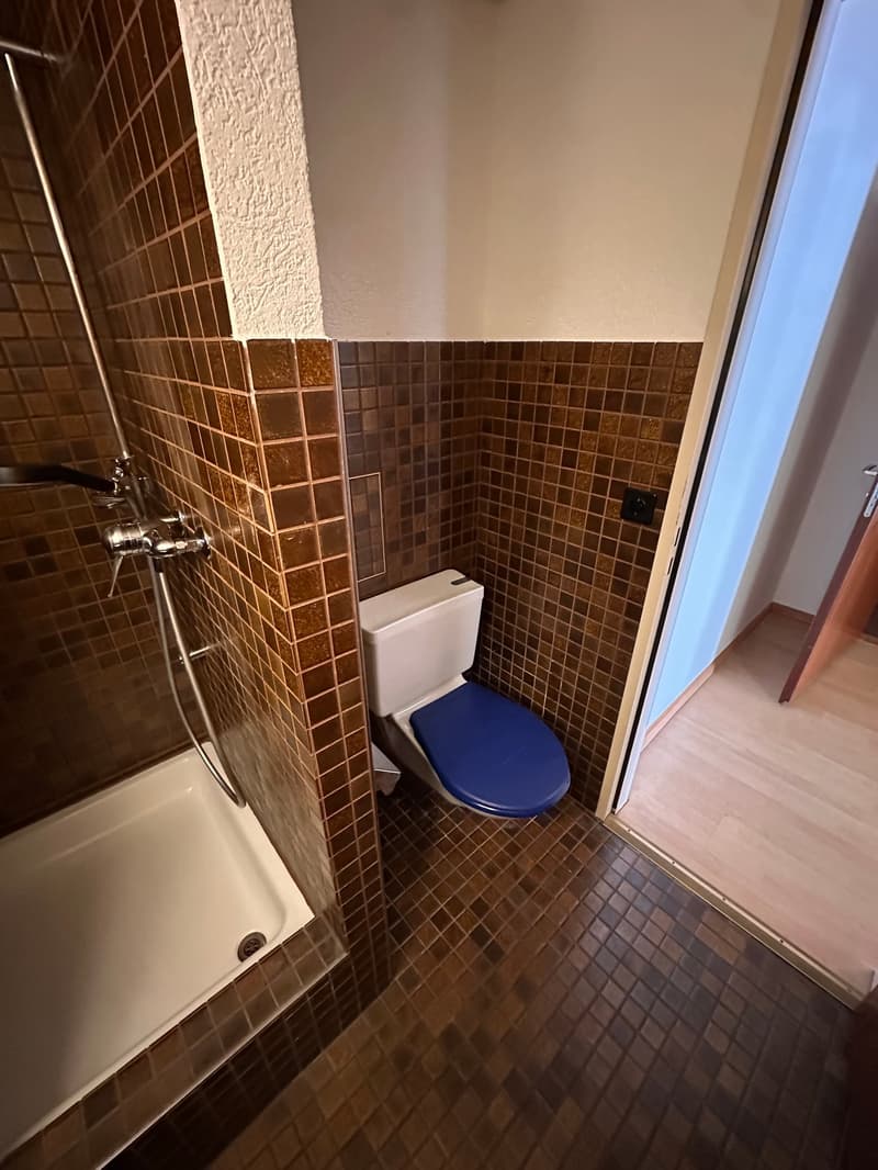 Charmante 1-Zimmer-Wohnung an der Steinenvorstadt in Basel (7)