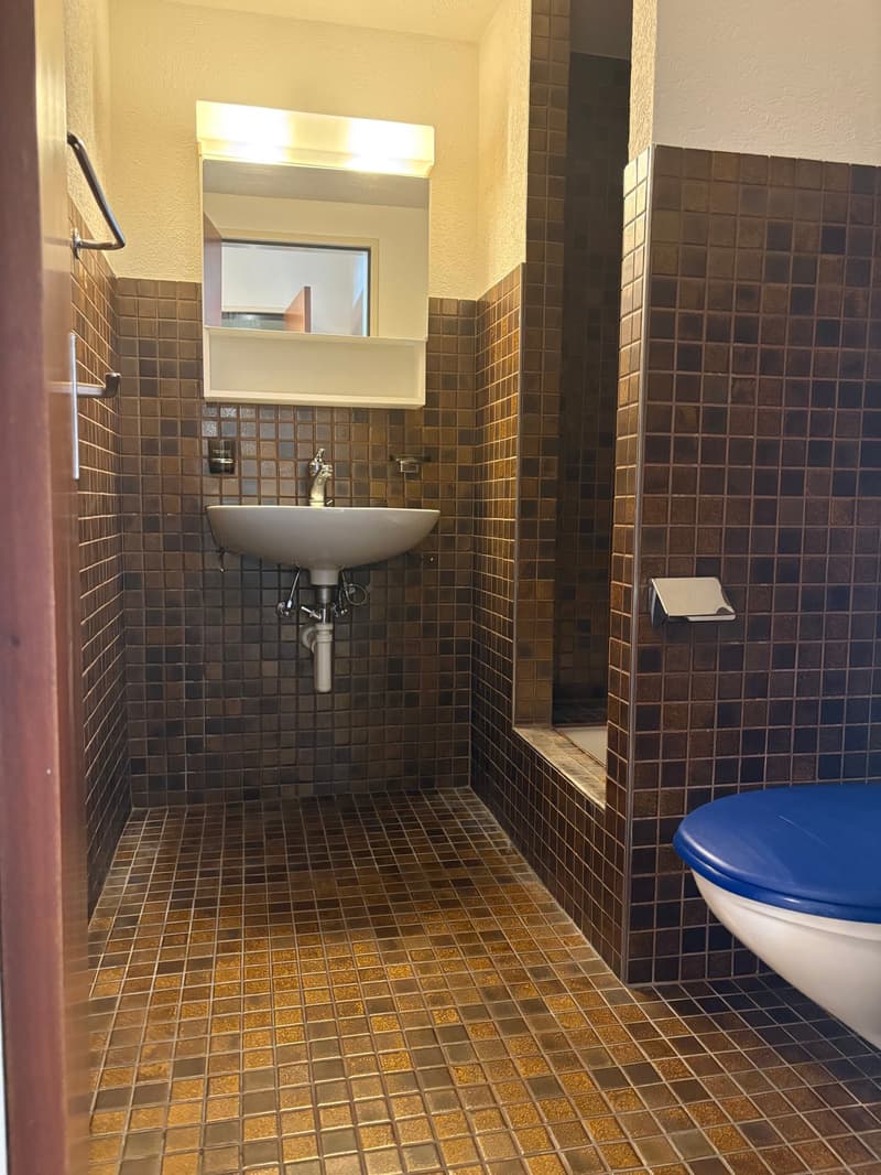 Charmante 1-Zimmer-Wohnung an der Steinenvorstadt in Basel (5)