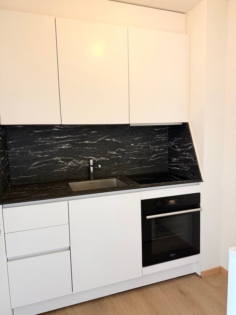 1 Zimmer Wohung zu Vermieten (2)