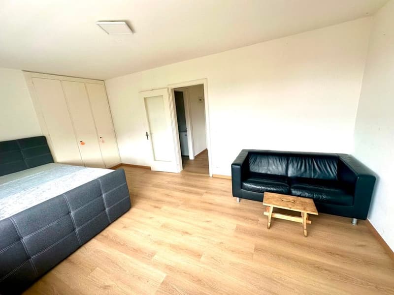 1 Zimmer Wohung zu Vermieten (6)
