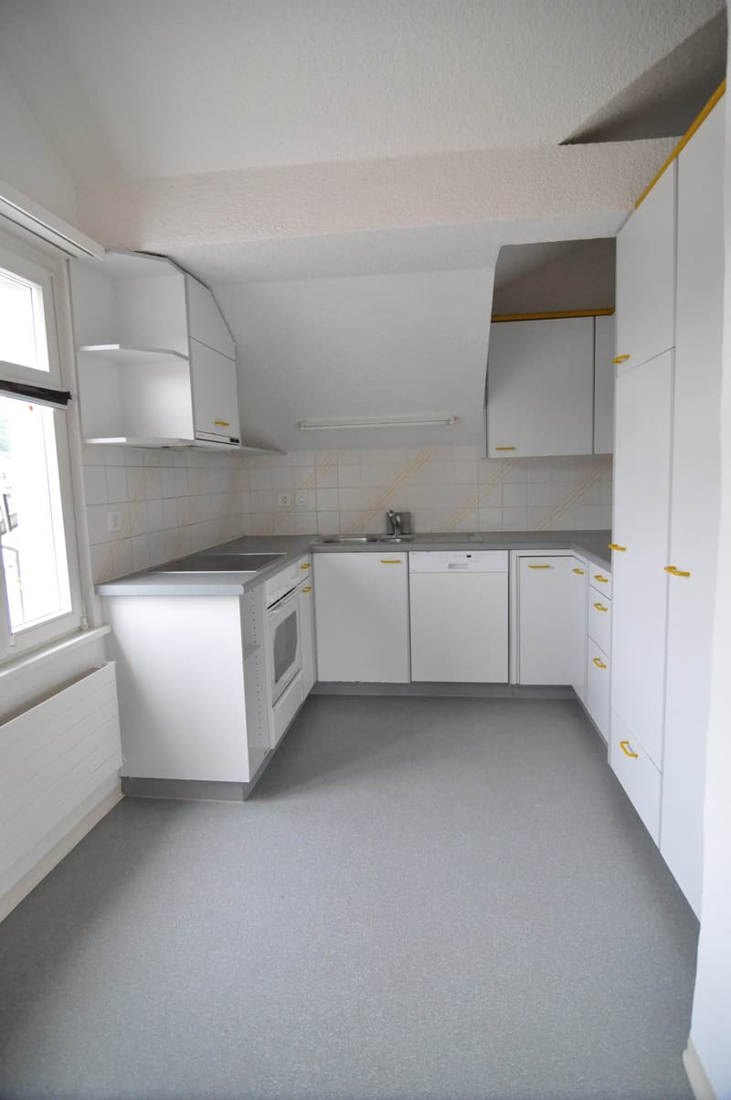 offene Küche mit Geschirrspüler, Backofen, etc.