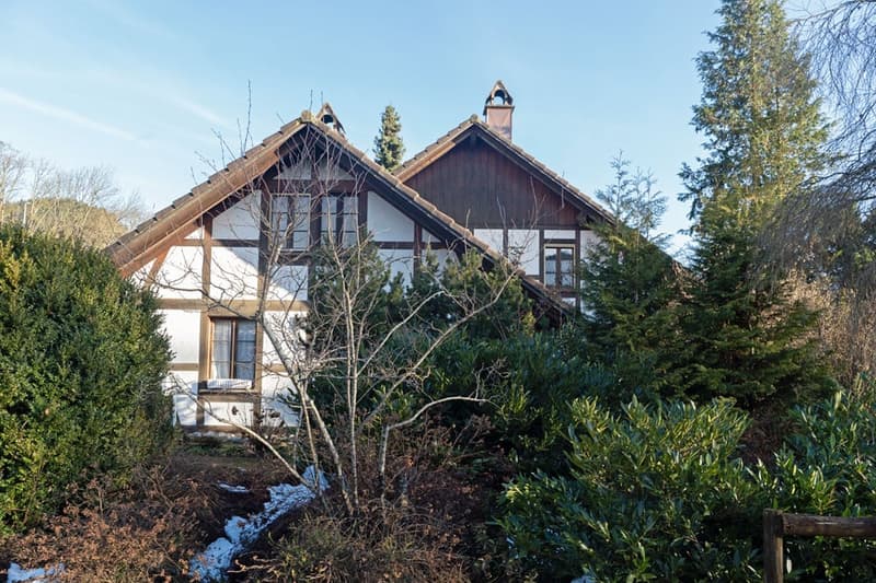 Traditional house, brown roof, white walls, wooden accents, surrounded by greenery