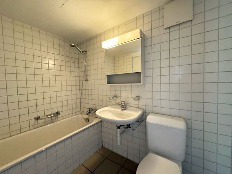 3.5 Zimmer Maisonette-Eckwohnung mit Balkon und Aussicht (7)