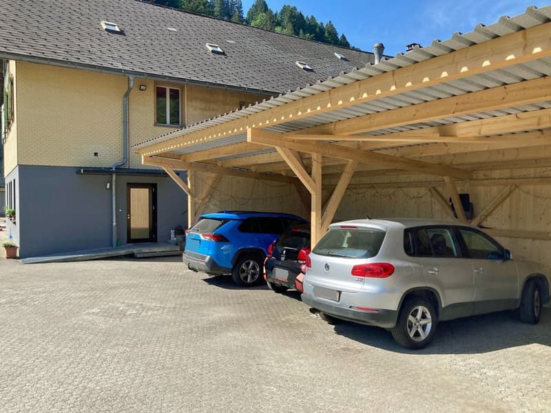 Neuere 3.5 Zimmerwohnung im Dorf (13)