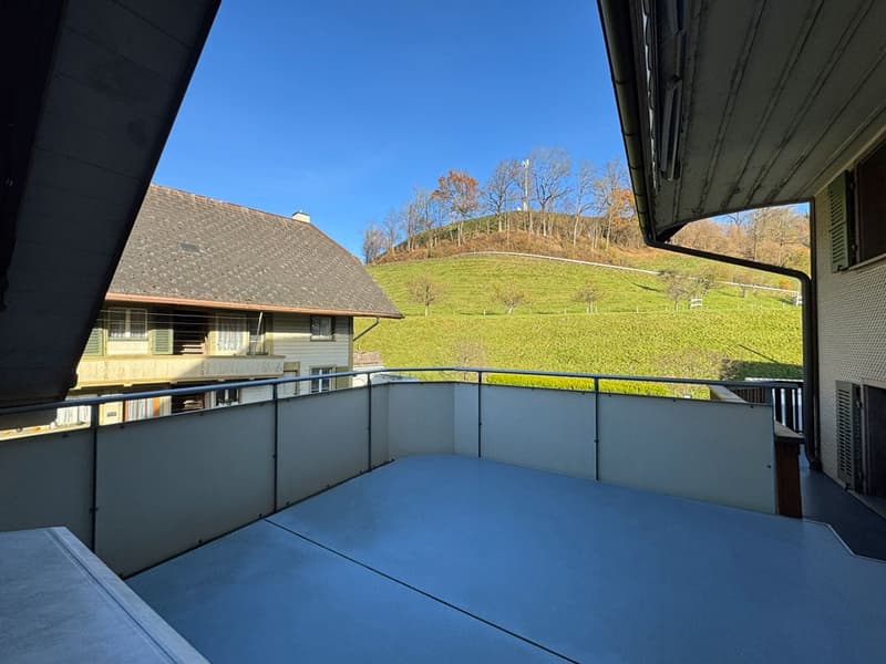Bäraustrasse 27- EG Terrasse