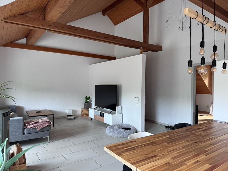 Ruhige Dachwohnung im Dorfkern mit schöner Aussicht (2)