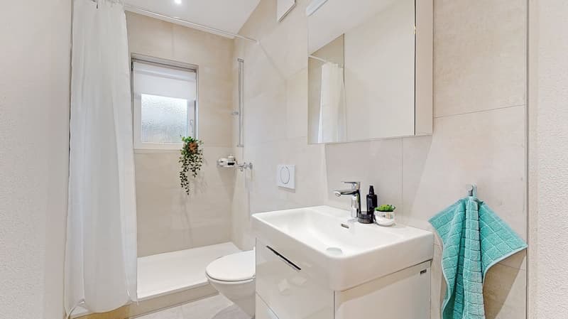 Grosszügige, renovierte 2.5-Zimmerwohnung (4)