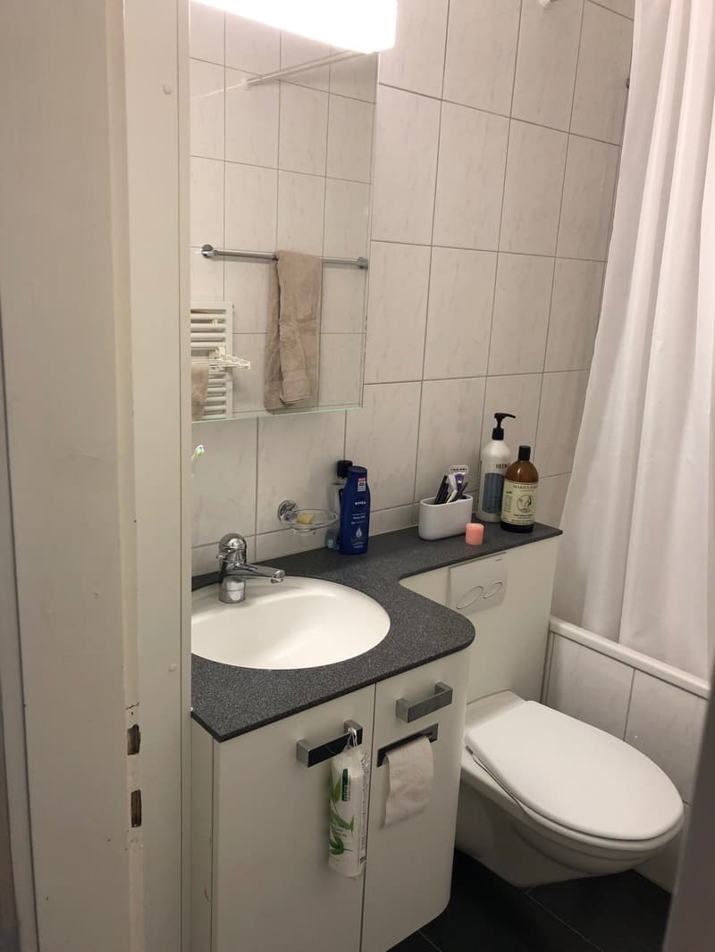 Gemütliche 2-Zimmer-Wohnung mit Balkon (6)