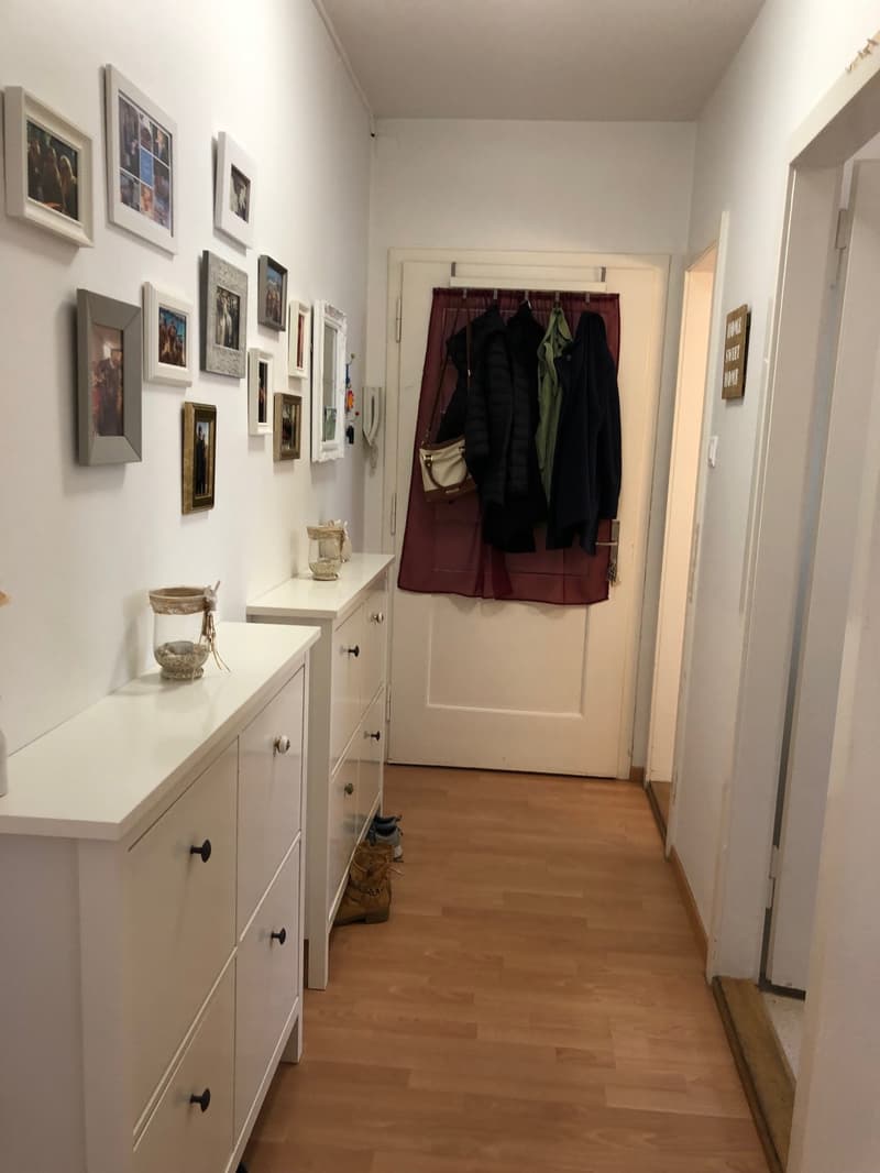 Helle 2.5-Zimmerwohnung zu vermieten (6)