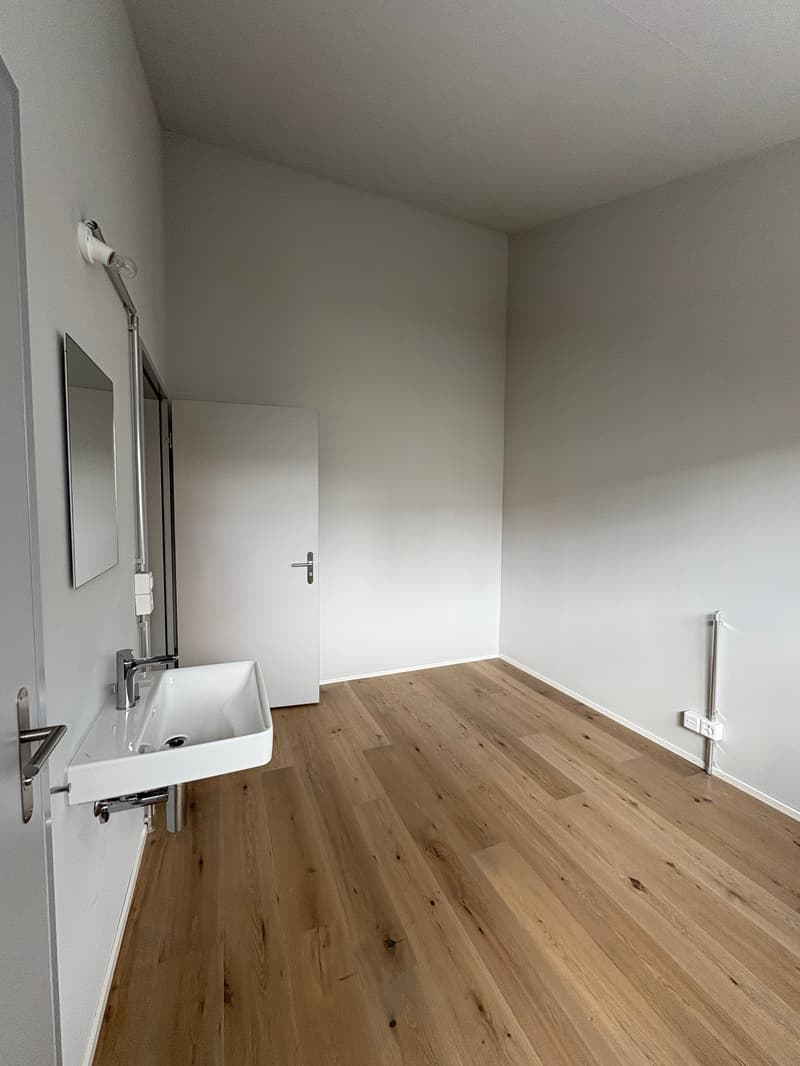 Charmantes Studio mit Balkon und eigener Waschmaschine in Brittnau (3)