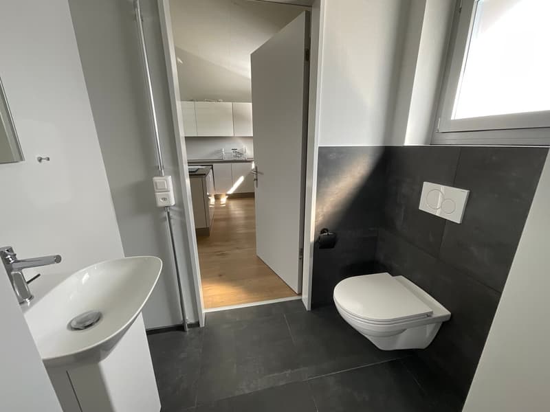 einzigartige Loftwohnung in ruhigem Quartier (8)