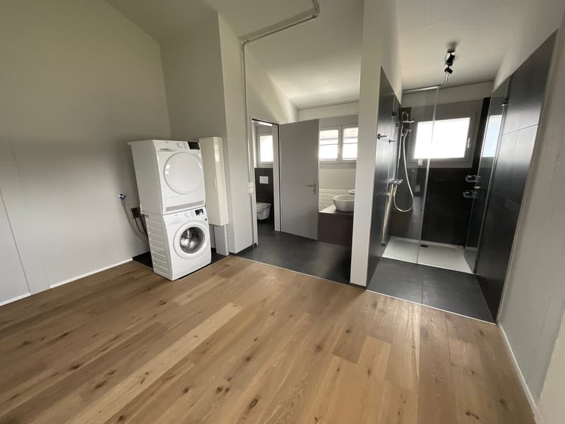 einzigartige Loftwohnung in ruhigem Quartier (6)