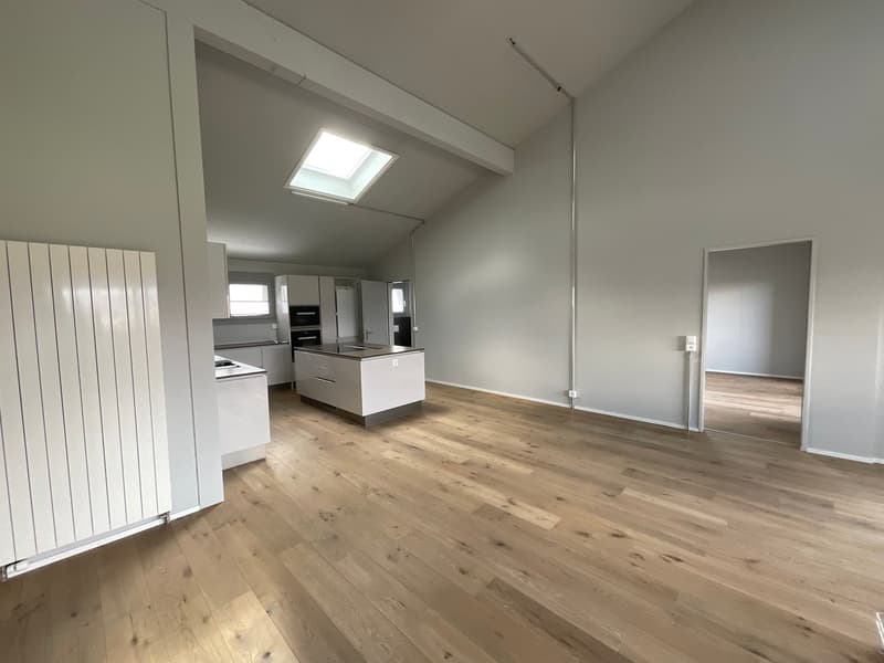 einzigartige Loftwohnung in ruhigem Quartier (2)