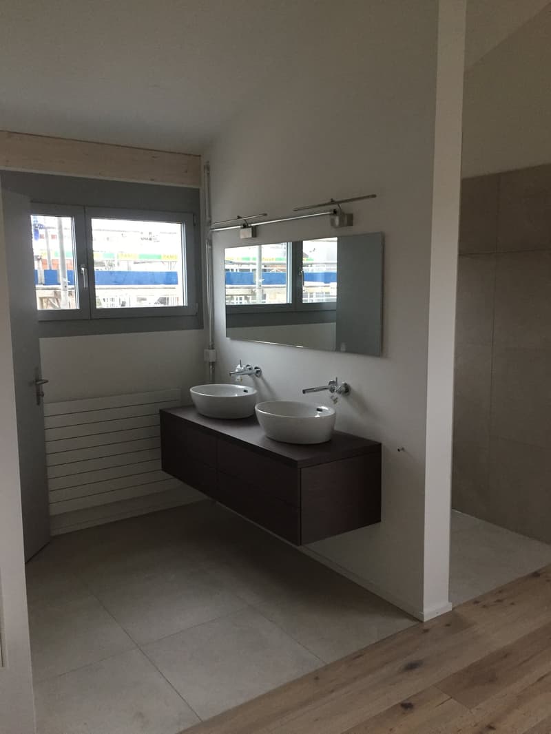 einzigartige Loftwohnung in ruhigem Quartier (7)