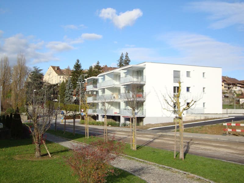 appartements moderne 2½ pièces avec balcon vitré (1)
