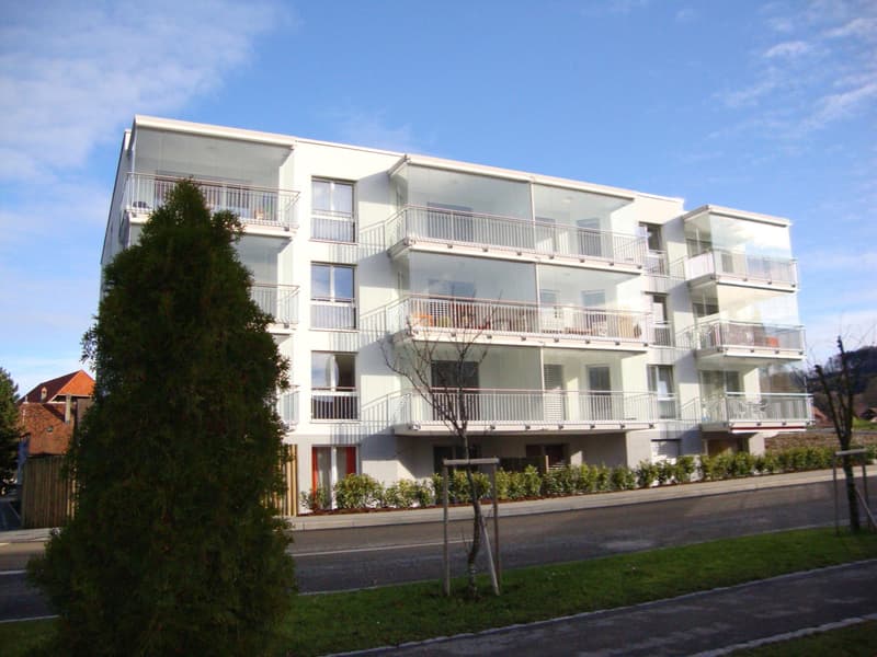 appartements moderne 2½ pièces avec balcon vitré (2)
