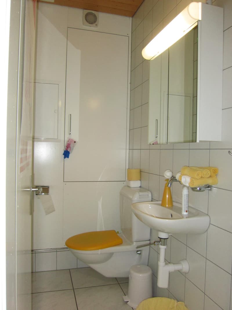 Attraktive Praxis- / Dienstleistungsfläche im Zentrum von Huttwil (5)