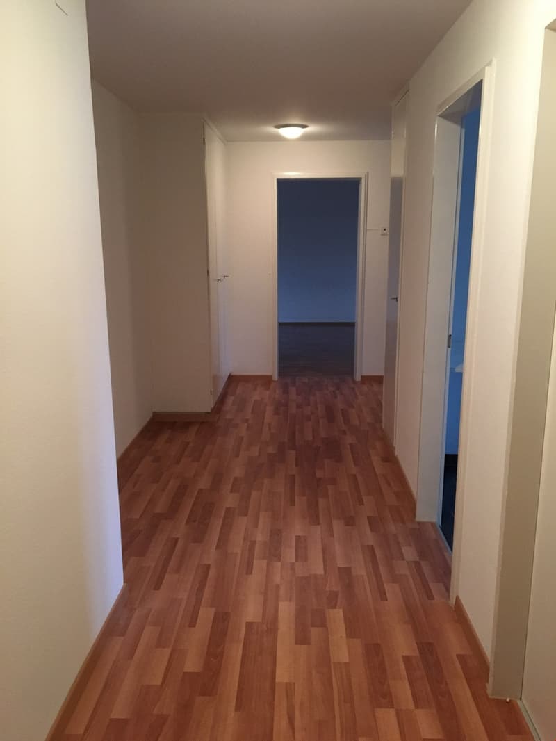 Bello appartamento di 3,5 locali in un edificio storico a Murten (3)