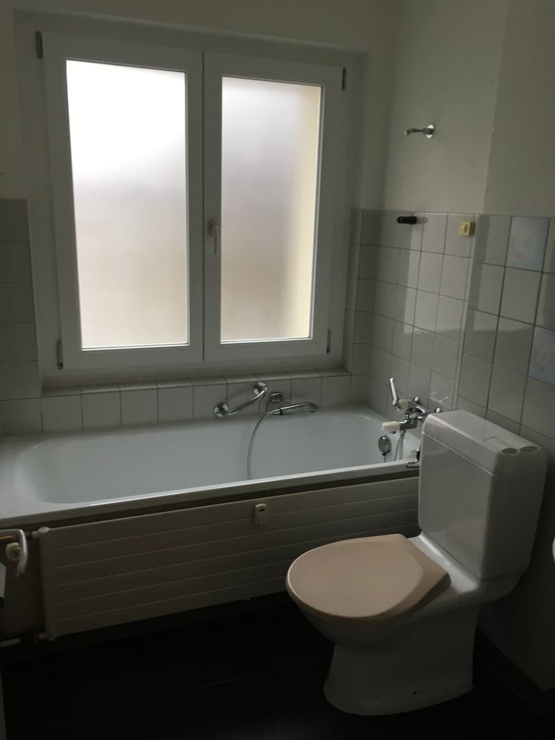 Bello appartamento di 3,5 locali in un edificio storico a Murten (7)