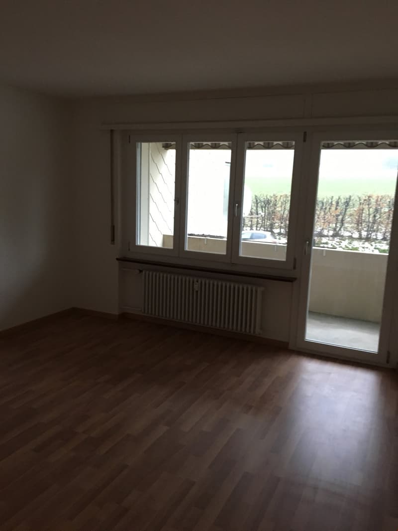 Bello appartamento di 3,5 locali in un edificio storico a Murten (10)