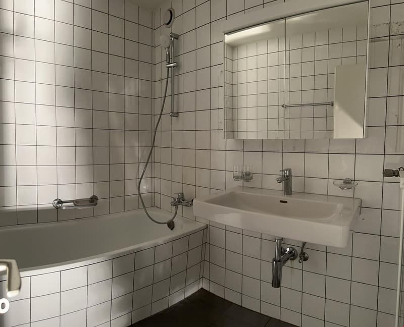 günstige 4.5-Zimmerwohnung mit Balkon in Brügg (3)