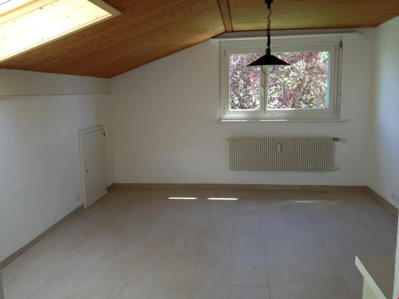 günstiges Studio in Aegerten (3)