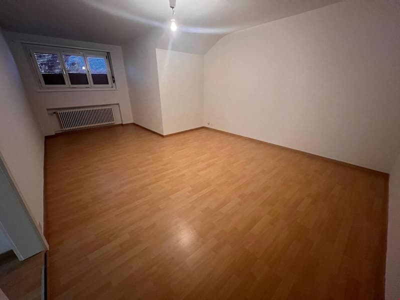 schöne und helle 2-Zimmerwohnung in ruhigem Quartier (7)