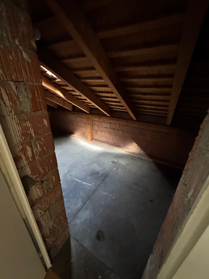 schöne und helle 2-Zimmerwohnung in ruhigem Quartier (8)