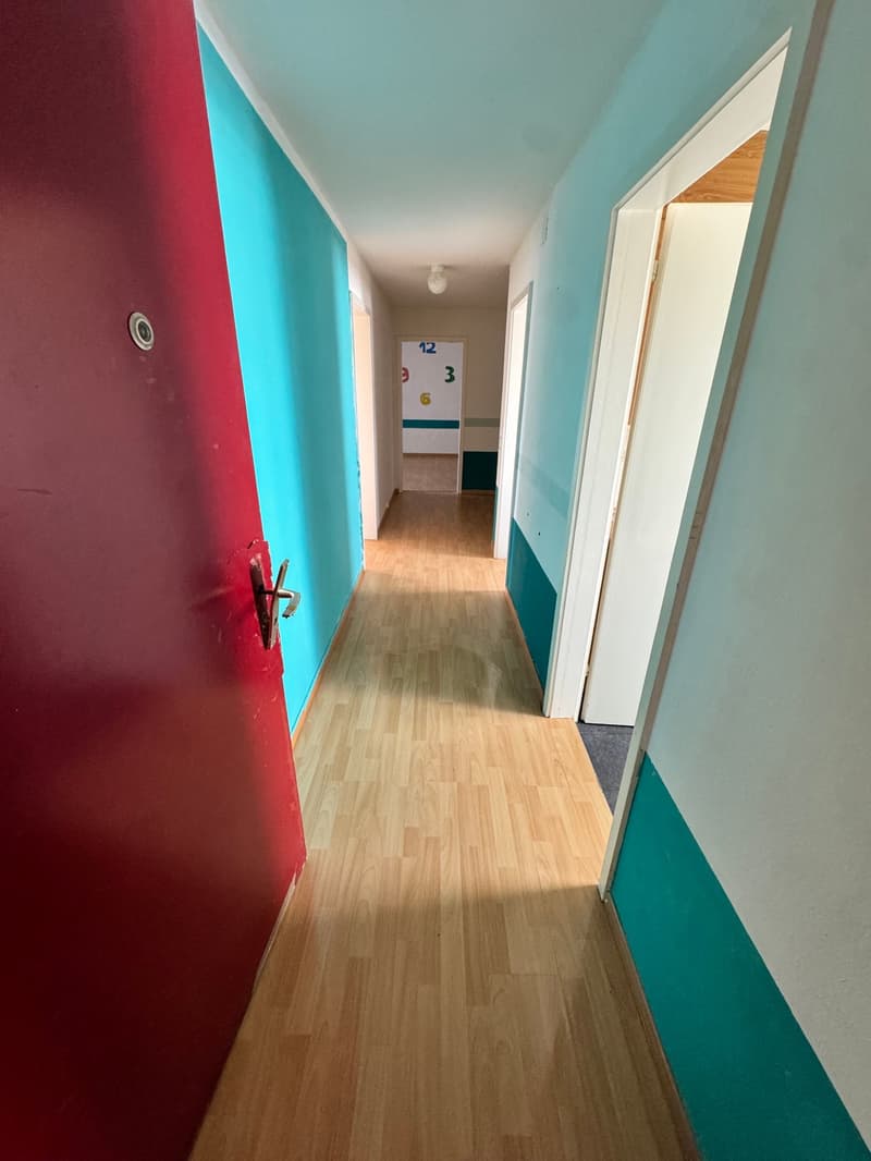 schöne und helle 2-Zimmerwohnung in ruhigem Quartier (5)