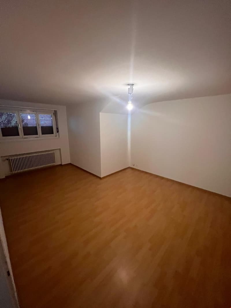 schöne und helle 2-Zimmerwohnung in ruhigem Quartier (6)
