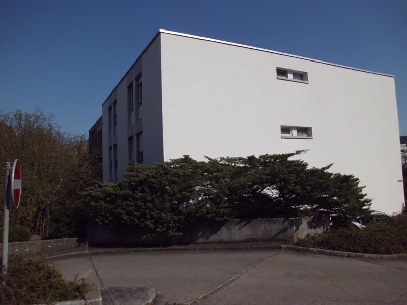 neu renovierte Wohnung in Brügg (1)