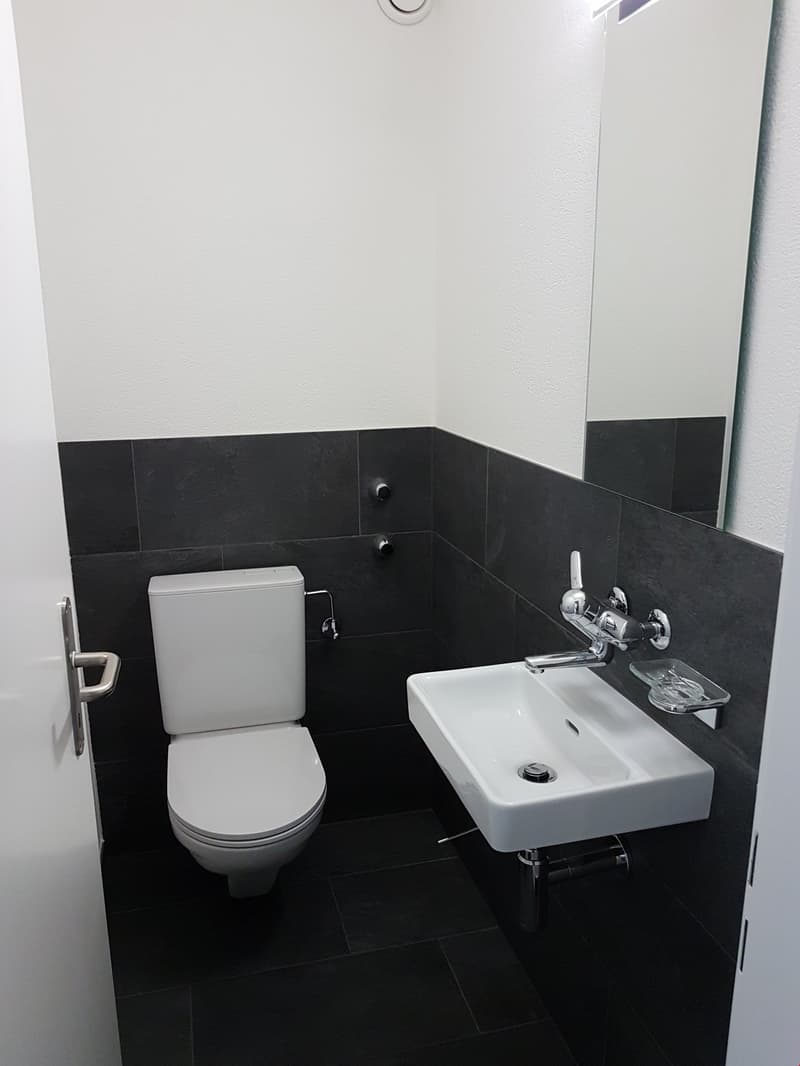 neu renovierte Wohnung in Brügg (11)
