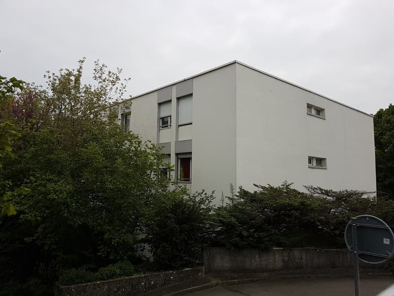 neu renovierte Wohnung in Brügg (2)
