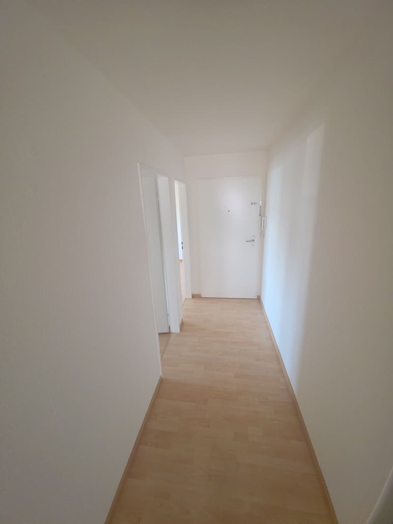 renovierte 4.5-Zimmerwohnung an ruhiger Lage mit Aussen-Pool (5)