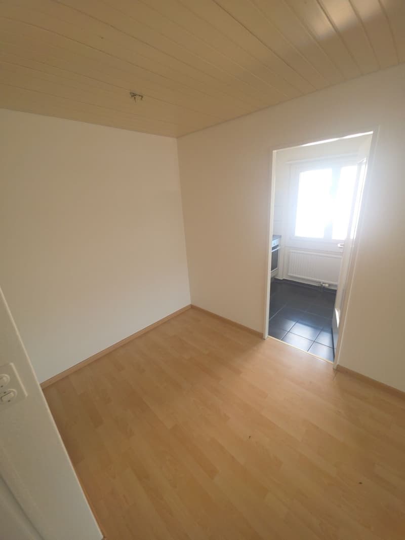 renovierte 4.5-Zimmerwohnung an ruhiger Lage mit Aussen-Pool (4)