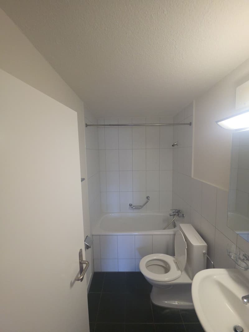 renovierte 4.5-Zimmerwohnung an ruhiger Lage mit Aussen-Pool (3)
