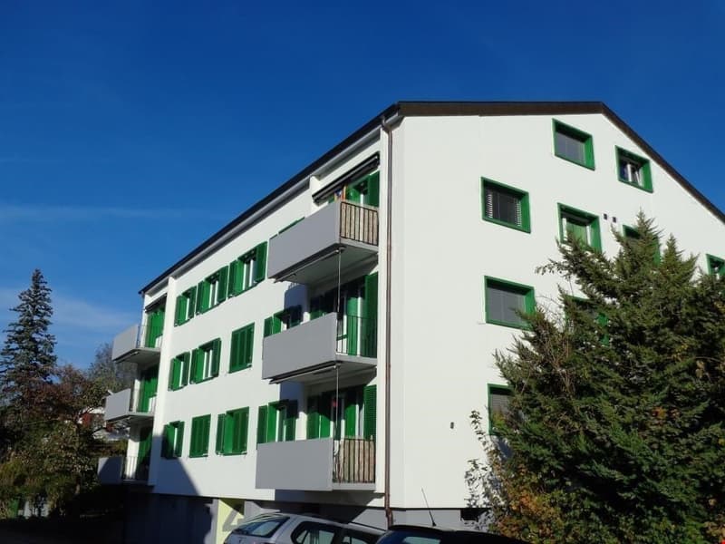 schön renovierte 3.5-Zimmerwohnungen mit Balkon und gemeinsamer Garten (1)