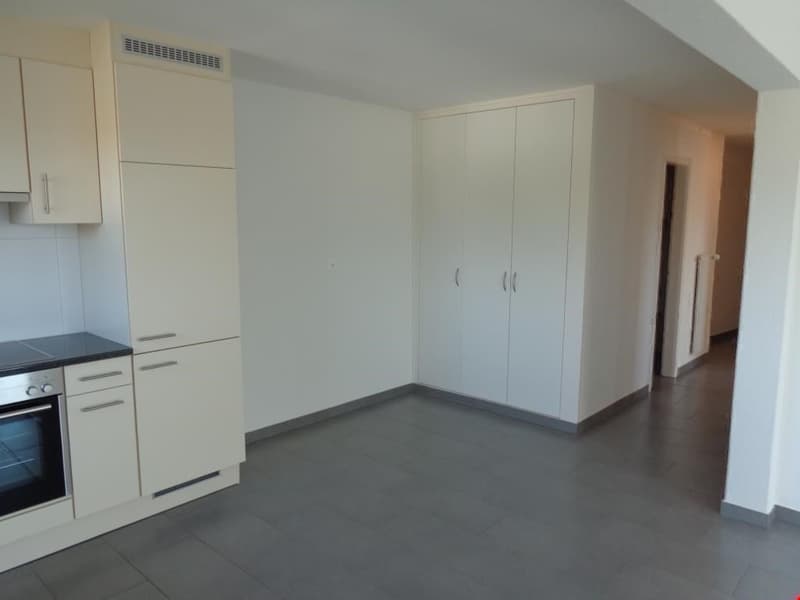 schön renovierte 3.5-Zimmerwohnungen mit Balkon und gemeinsamer Garten (3)