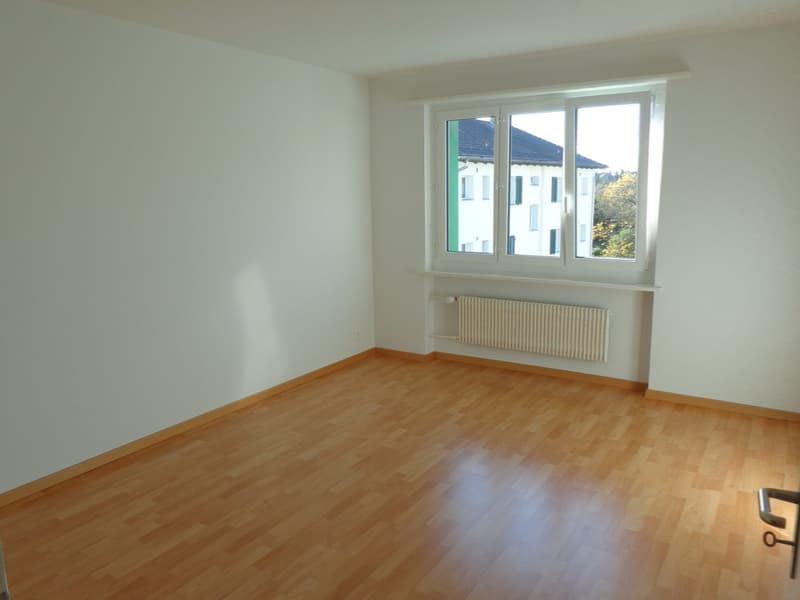 schön renovierte 3.5-Zimmerwohnungen mit Balkon und gemeinsamer Garten (5)